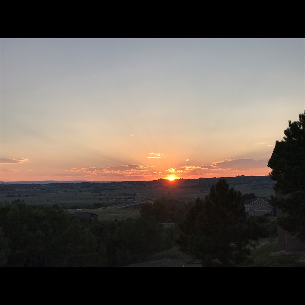 Meet your Posher, Josie