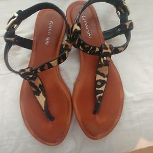Gianni Bini leopard flats