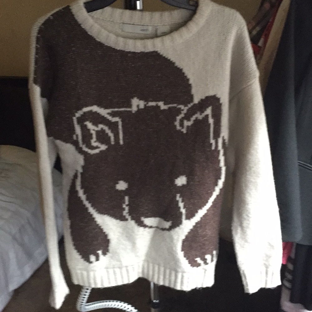 Cute Thick Bear Sweater! 🐻