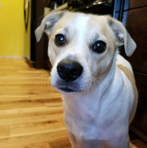 Meet your Posher, Parris