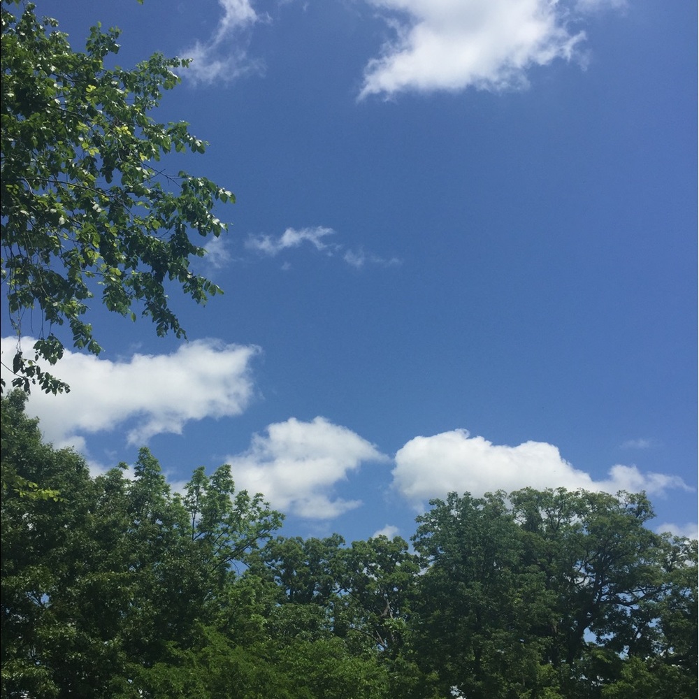 Meet your Posher, Miriam