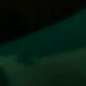 Meet your Posher, Leonard