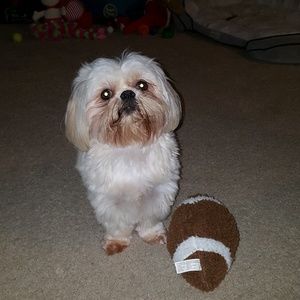 Meet your Posher, Antoinette