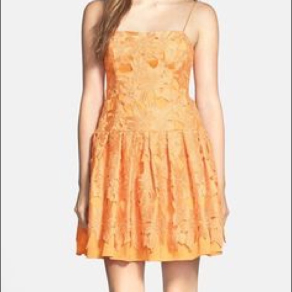 Adrianna Papell Brocade Fit & Flare Dress NWOT
