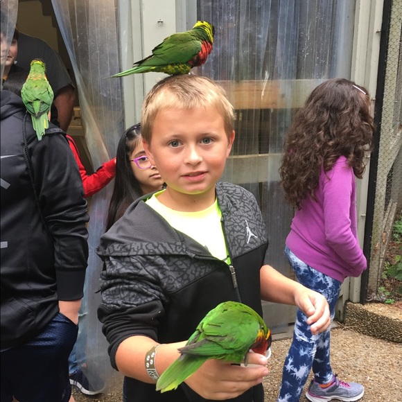 Meet Your Posher!!❤️ - Picture 3 of 7