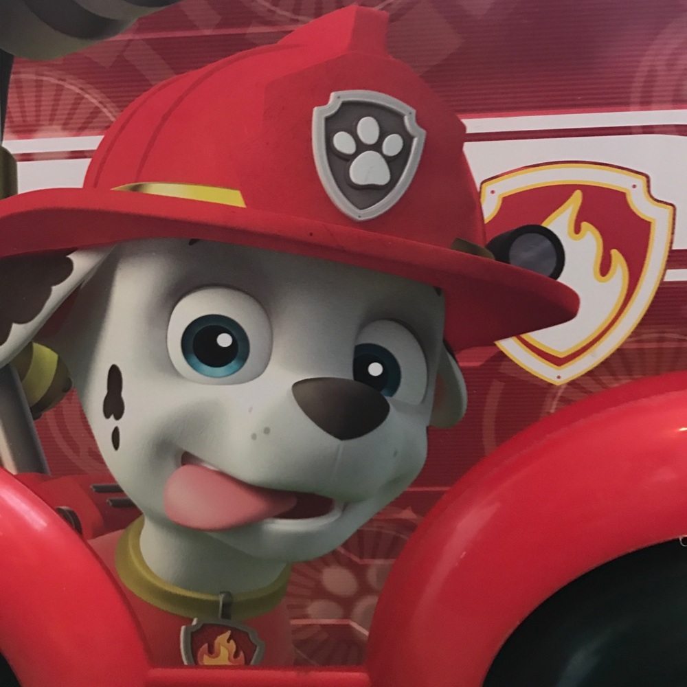 Meet your Posher, Marcela