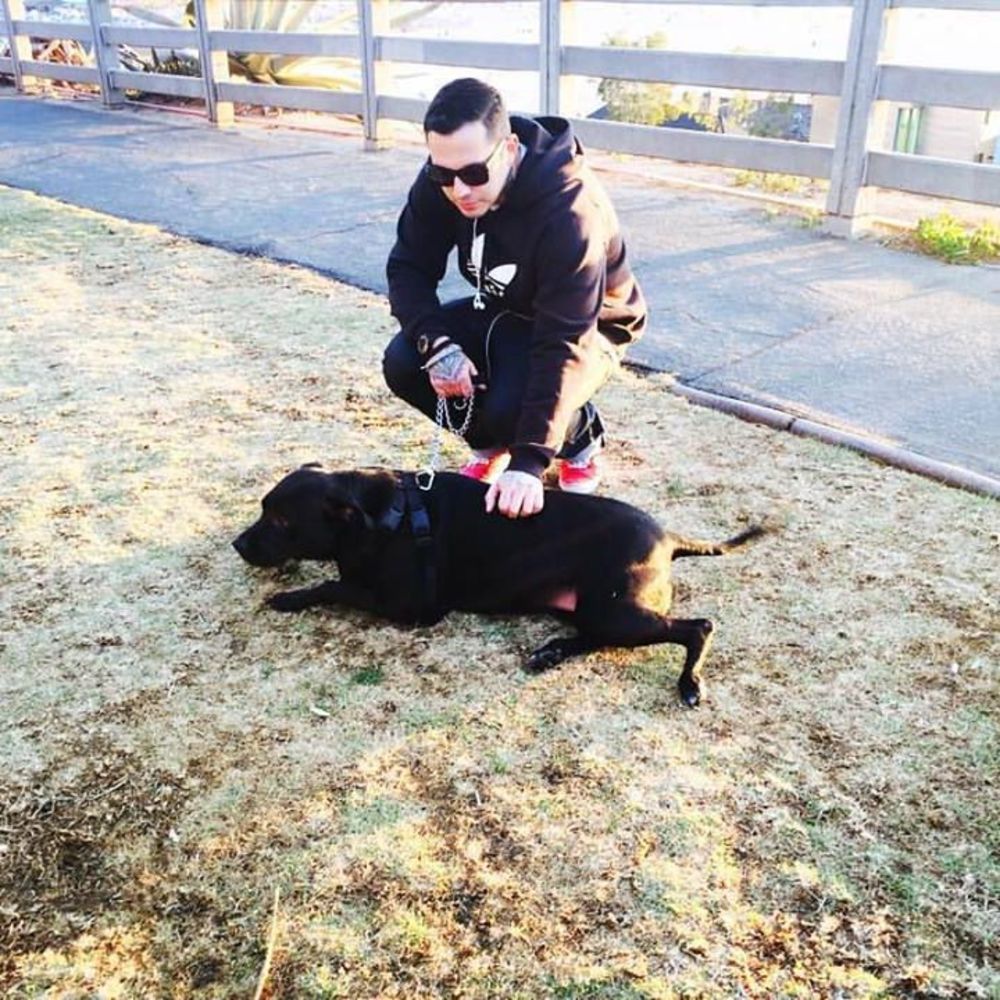 Buy. Sell. Trade. The American dream lol 😂