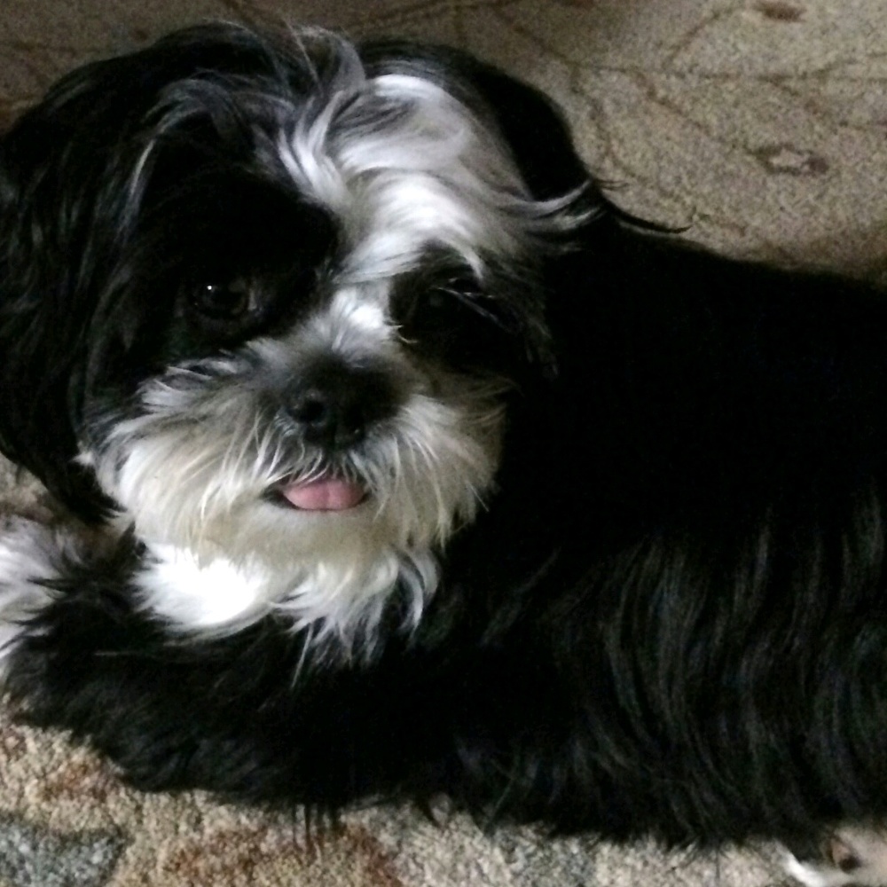 Meet your Posher, Debra