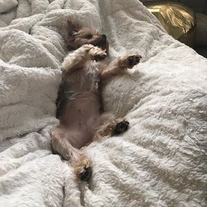 Meet your Posher, Dara