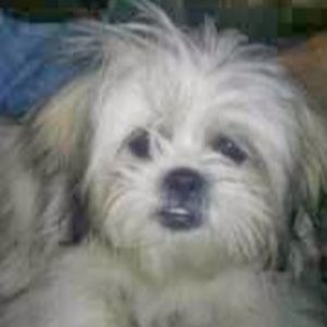 Meet your Posher, Lorie