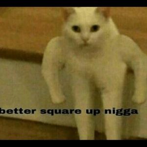 Meet your Posher, Joseph