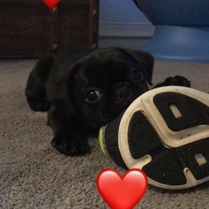 Meet your Posher, Ethan