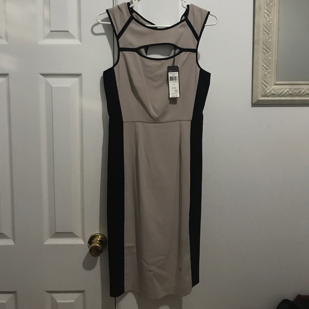 BCBG Maxazria dress