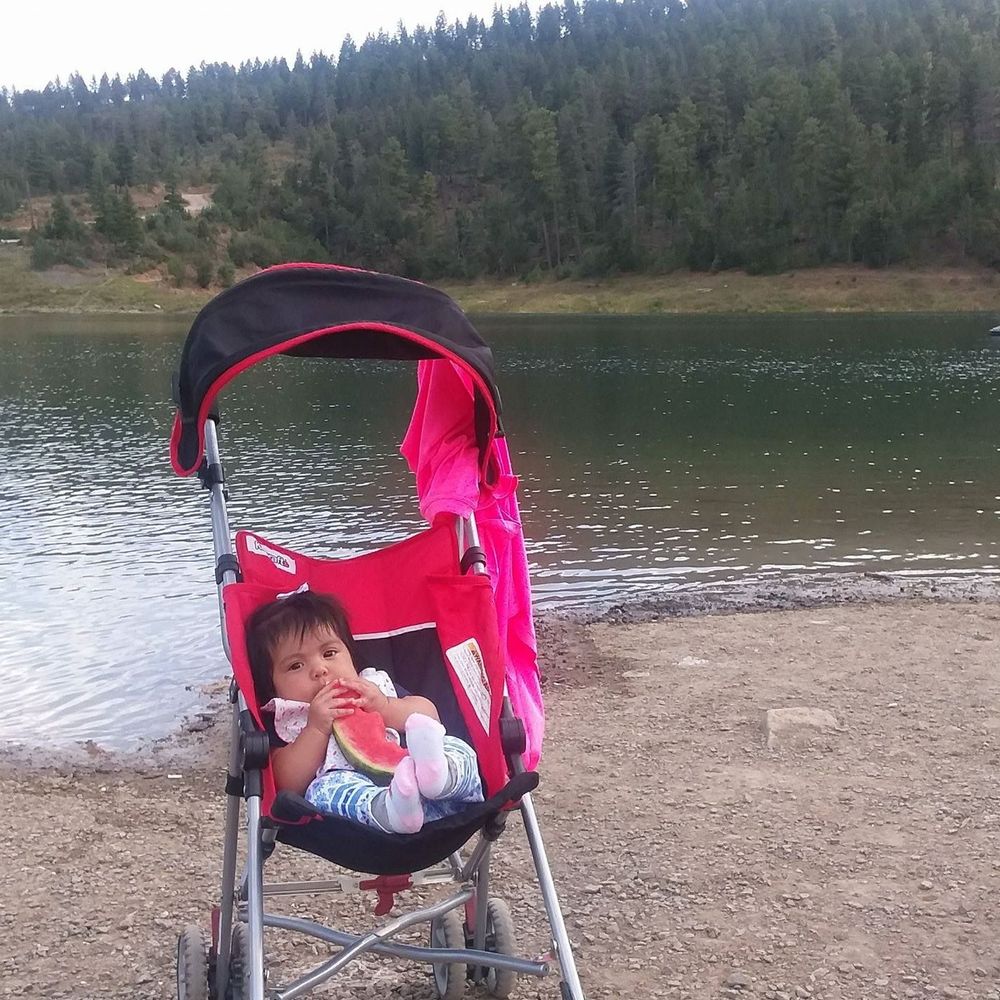 Meet your Posher, America