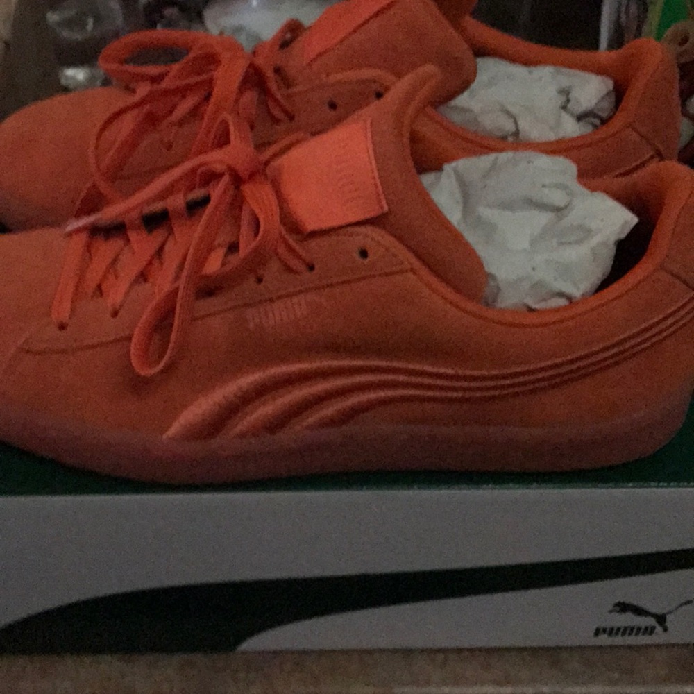 Orange pumas