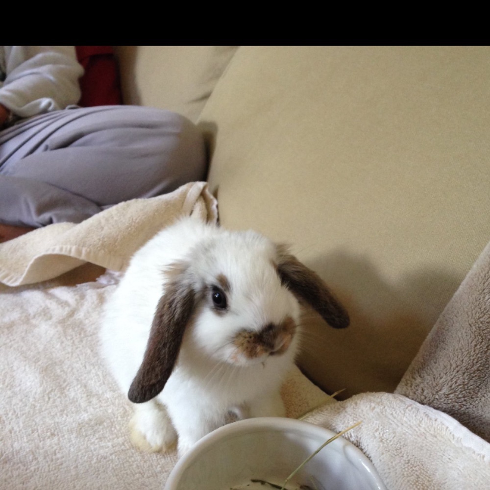 Meet your Posher, Mae