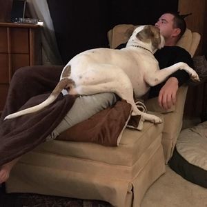 Meet your Posher, Mark