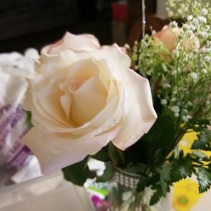 Meet your Posher, Marisol