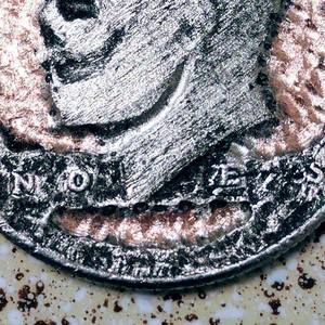 Meet your Posher, Shane