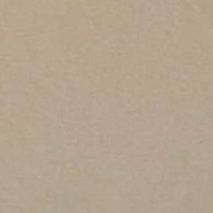 Meet your Posher, Nevaeh