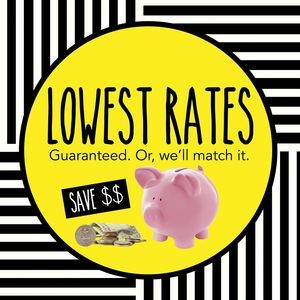 Meet your Posher, Dawn