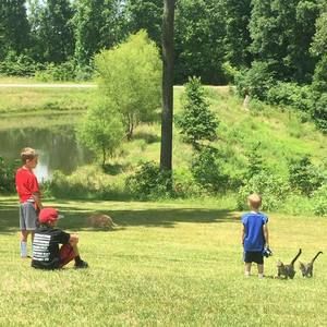 Meet your Posher, Mitzi