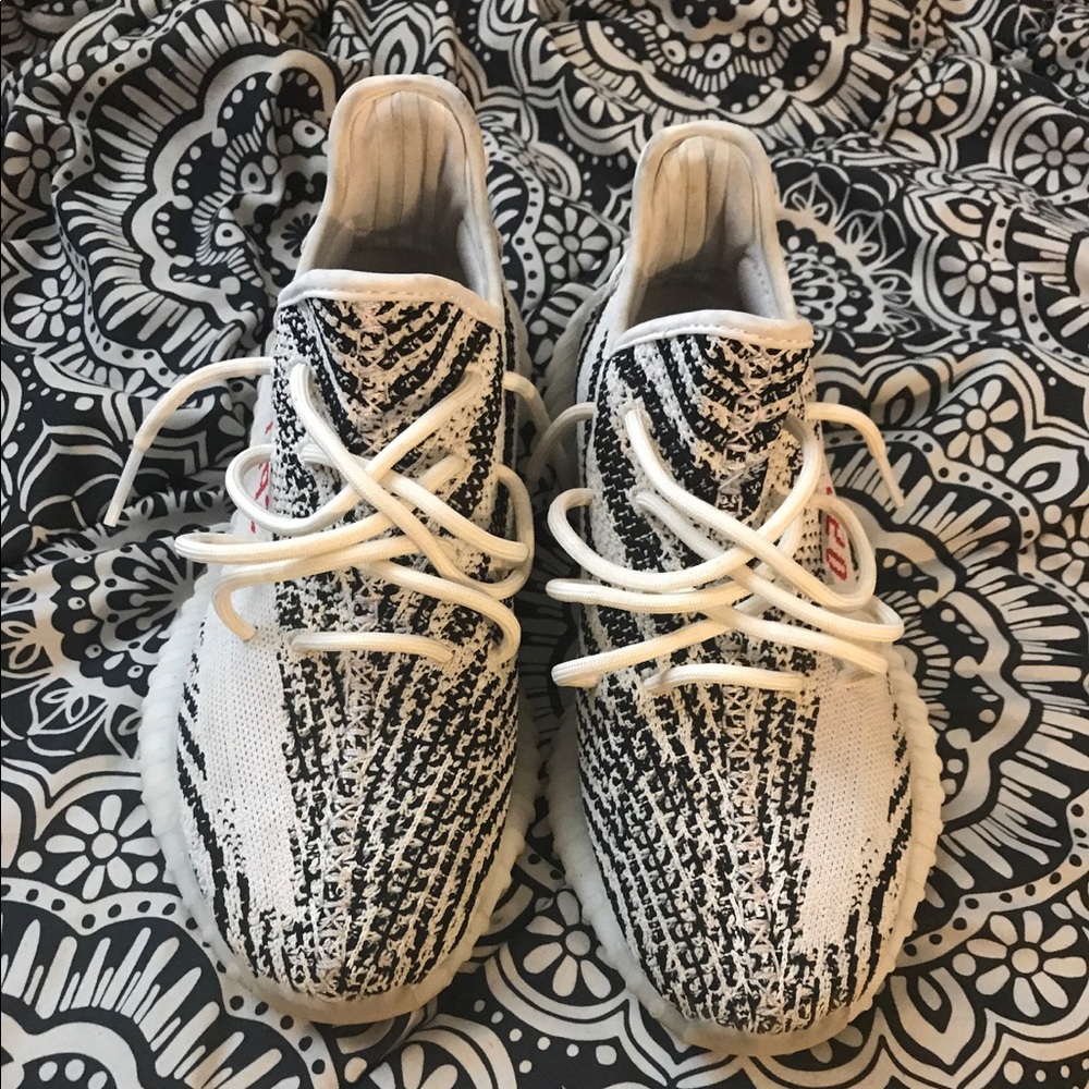 Yezzy Zebra V2