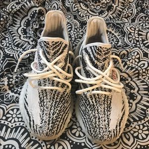 Yezzy Zebra V2