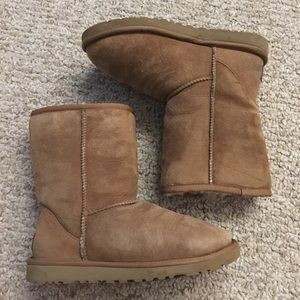 Classic short censure uggs, size 5