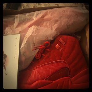 Air Jordan 12 Retro red suede