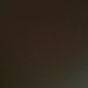 Meet your Posher, Tanya