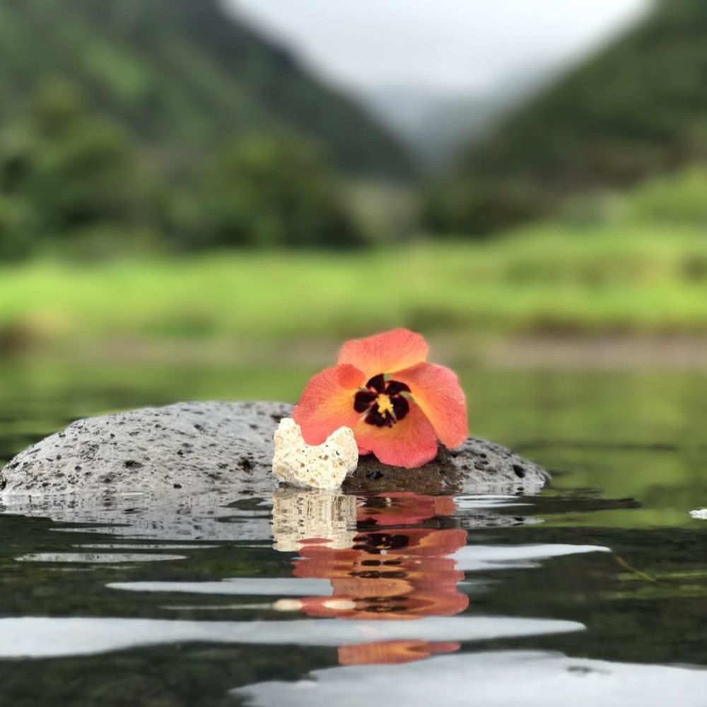 Meet your Posher, Leslie