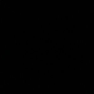 Meet your Posher, Mia