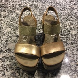 OTBT original Bushnell wedge