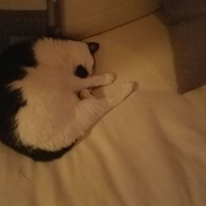 Meet your Posher, Bianca