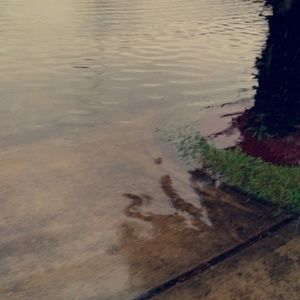 Meet your Posher, Janet