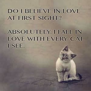 Meet your Posher, Katy