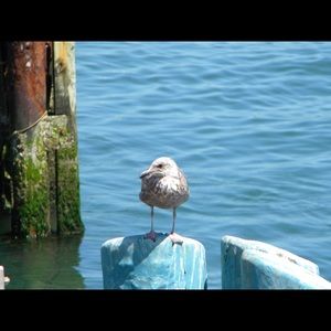 Meet your Posher, Kristy