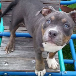 Meet your Posher, Javier