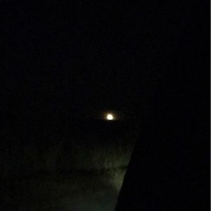 Meet your Posher, Jayla