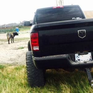 Meet your Posher, Feiman