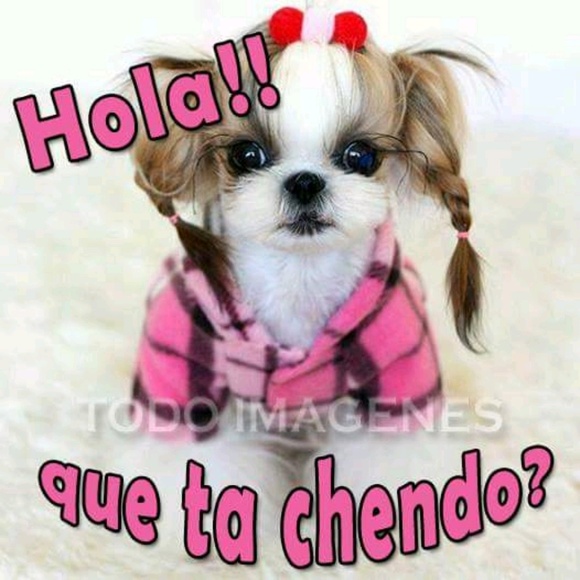 Meet your Posher, Rocio - Picture 1 of 1