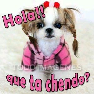 Meet your Posher, Rocio