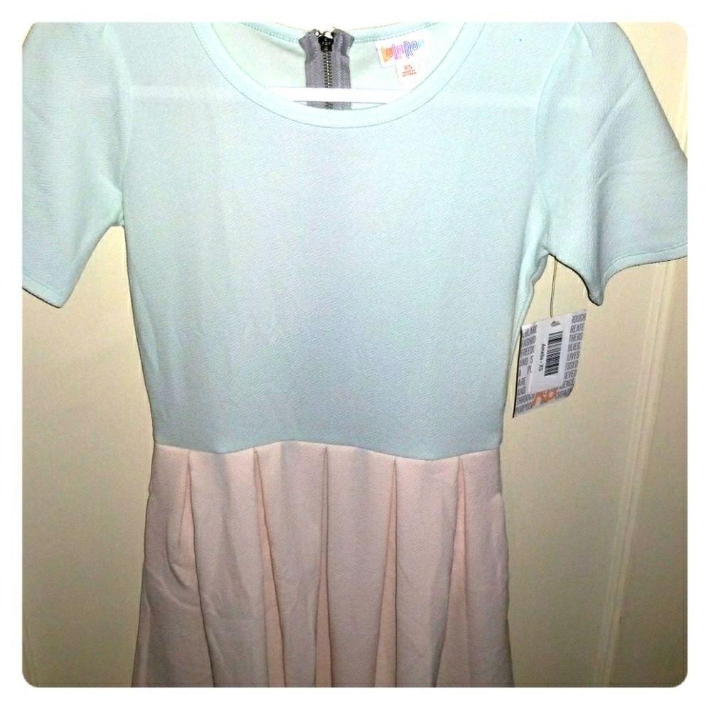 NWT LuLaRoe Amelia mint green/light pink XS