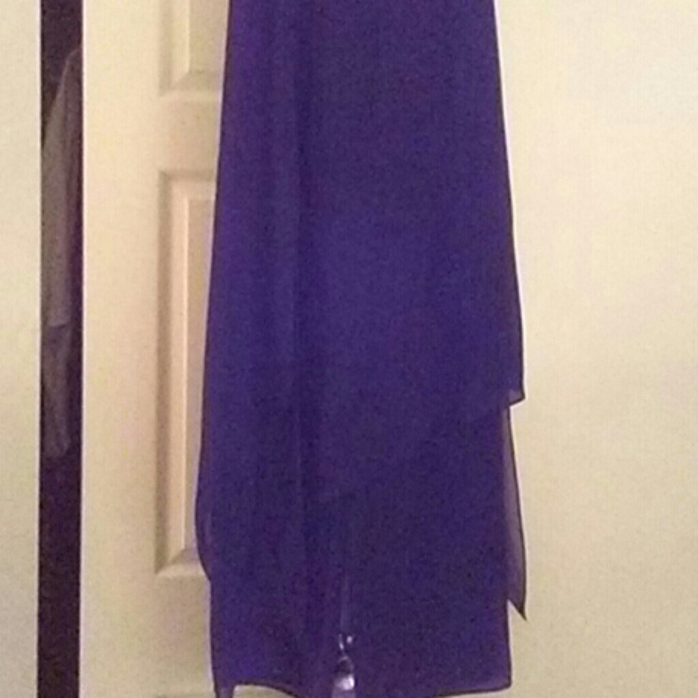 Beautiful sheer skirt with sheer pants underneath