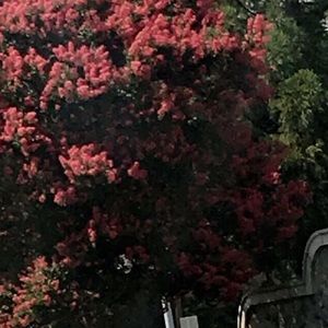 Meet your Posher, Karla