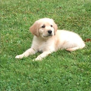 Meet your Posher, Jodi