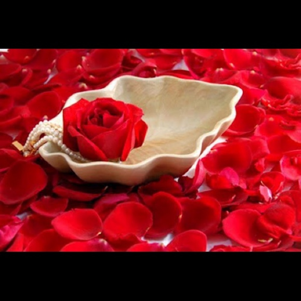 Meet your Posher, Wafa