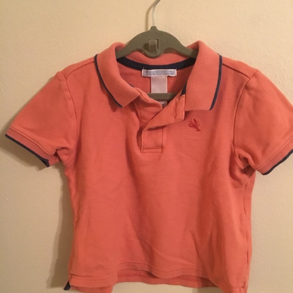 Polo - Picture 4 of 5