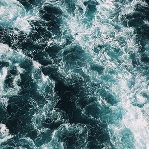 Meet your Posher, Penelope